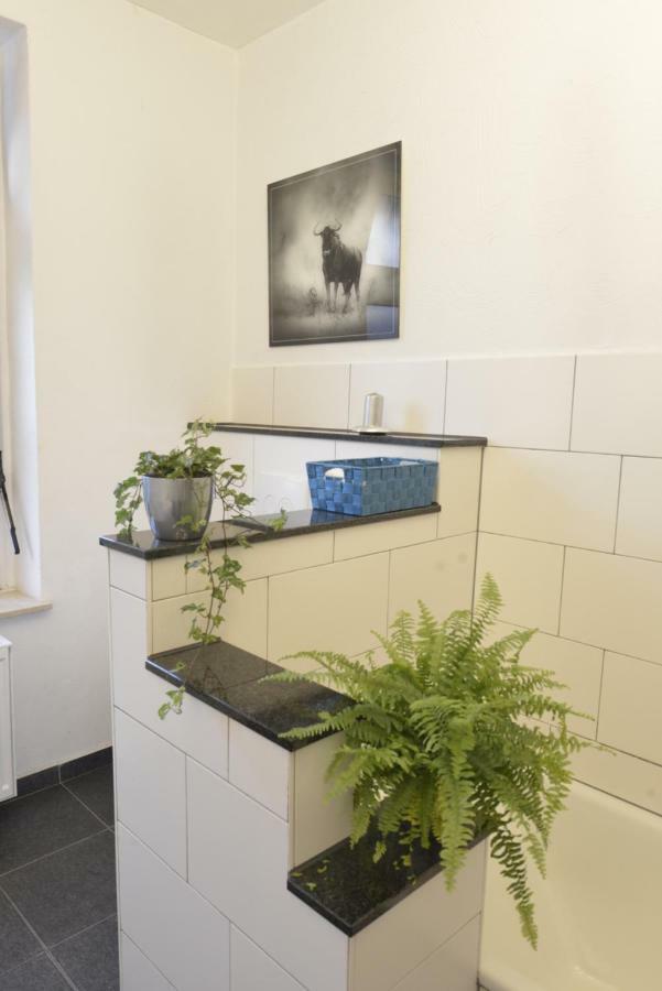 Kaiserliche Hofpost, Mit Whirlpool Und 2 Terrassen Шляйден Екстер'єр фото